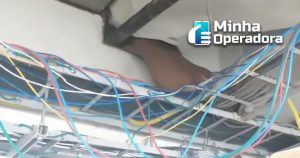 Sem-Título-asssssss1