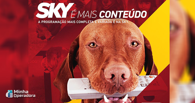 Divulgação SKY redes sociais