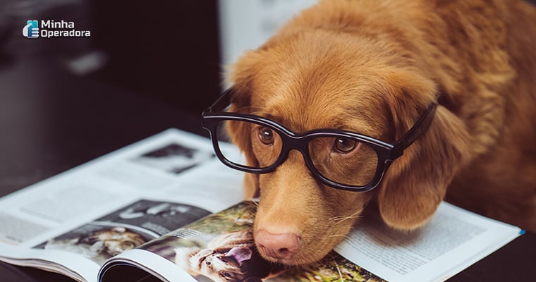 Ilustração - Cachorro