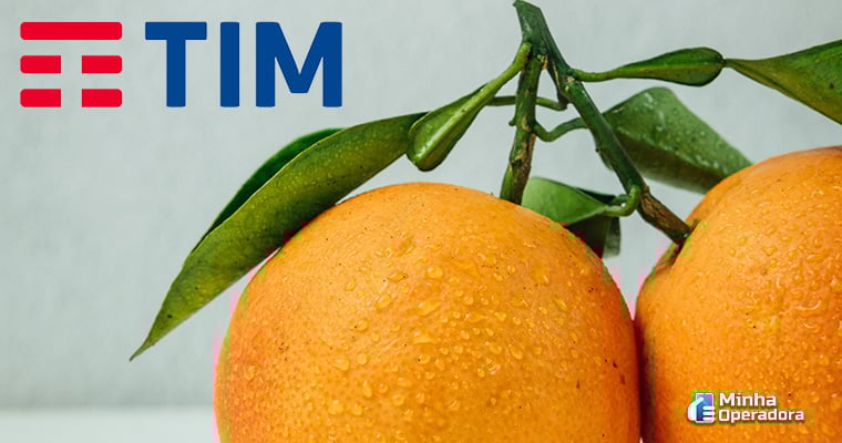 Ilustração - Laranja