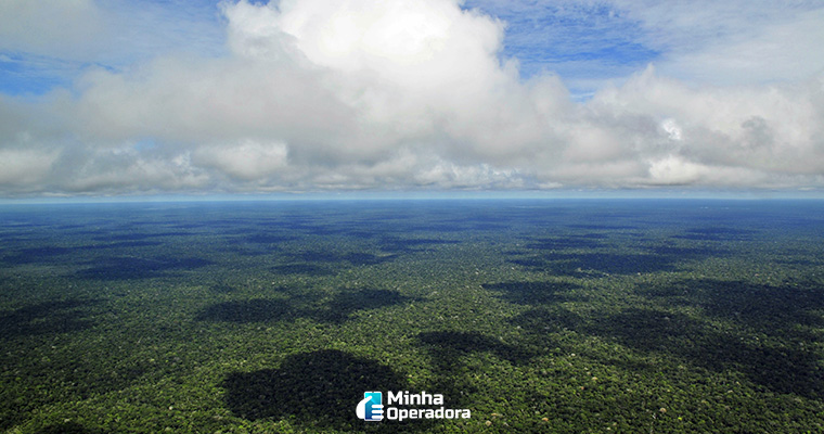 Imagem: Amazonas (Wikipedia)