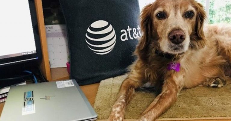 AT&T se prepara para comprar mais espectros