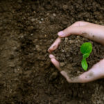 2904e0cd-778e-4e9e-b7eb-07f91cbc2071