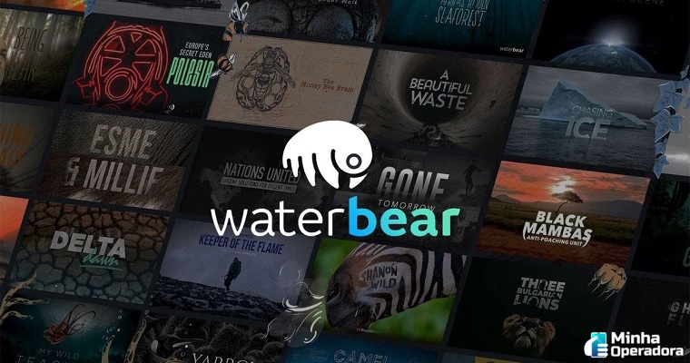 waterbear-novo-streaming-gratuito