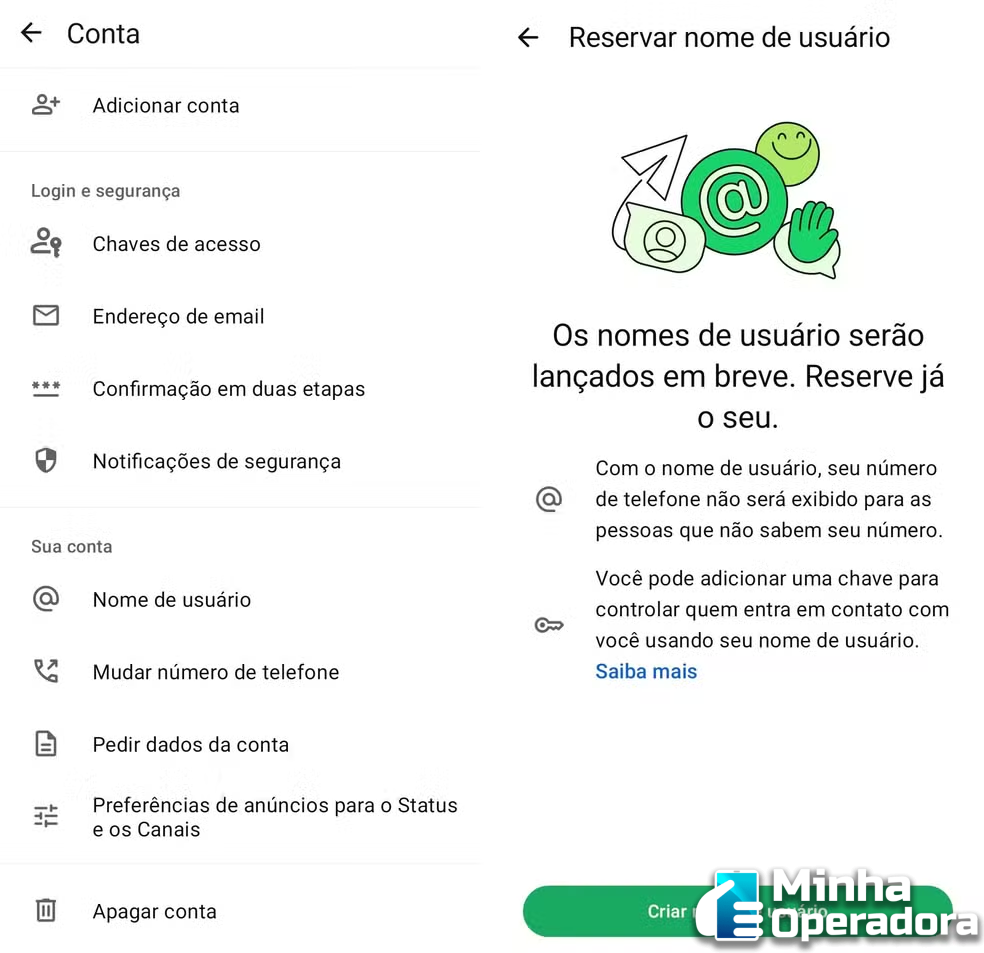 WhatsApp nome de usuário